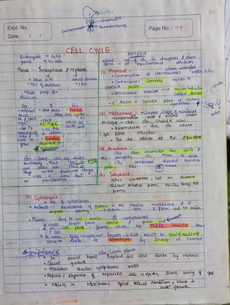 Notes of Cell Division of Cell the unit of life Structure Of Chromosomes Notes, Cell The Unit Of Life Mind Map, Cell Cycle And Cell Division Mind Map, Cell Cycle And Cell Division Notes For Neet, Cell The Unit Of Life Notes For Neet, Cell The Unit Of Life Notes, Cell Cycle And Cell Division Notes, Cell Cycle And Cell Division, Cell The Unit Of Life