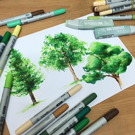 Great example of shading done with Copic markers, though this is an image of trees it's technique can be applied else where (eg. Cubes) using tree shades can begin to create a realistic feel. Copic Drawings, Landscape Design Drawings, Copic Marker Art, Copic Art, Tree Sketches, Landscape Sketch, 수채화 그림, Sketch Markers, Copic Coloring