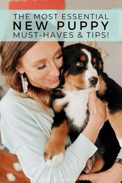 How To Get Ready For A New Puppy, New Puppy Hacks, Must Have Puppy Essentials, Bringing Home A Puppy, New Puppy Must Haves, Welcome Home Puppy Ideas, Puppy Must Haves Products, Puppy Set Up Ideas, Puppy Must Haves