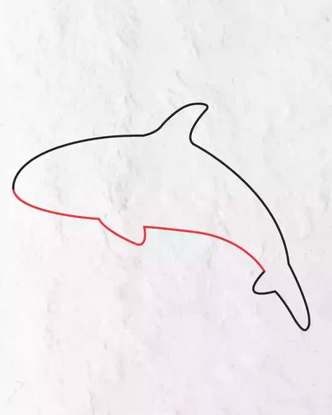 How to Draw Orca in Simple and easy step by step guide 5 How to Draw Orca in Simple and easy step by step guide Easy Nose Drawings, Orca Drawing, Easy Paintings For Beginners, Banner Drawing, Small Nose, Nose Drawing, Water Drawing, How To Shade, Drawing Studies