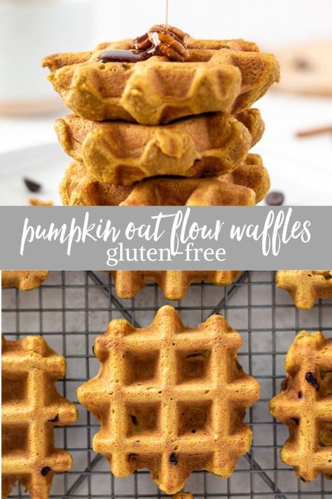 Oat Flour Pumpkin Waffles, Pumpkin Oat Waffles Recipe, Pumpkin Waffles Gluten Free, Healthy Pumpkin Waffles Easy, Oat Flour Pumpkin Recipes, Pumpkin Waffles Recipe Healthy, Pumpkin Oatmeal Waffles, Banana Pumpkin Waffles, Oat Flour Waffle Recipe