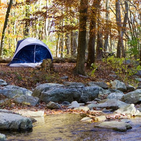 Oklahoma Camping, Camping Tips And Tricks, Beavers Bend State Park, Horseback Riding Trails, Route 66 Road Trip, Camping Resort, Tent Site, Travel Oklahoma, Cool Tents