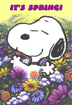 Snoopy loves Spring. Snoopy Springtime, Spring Snoopy, Peanuts Spring, Charlie Brown Quotes, Woodstock Charlie Brown, Halloween Forum, Woodstock Peanuts, Snoopy Dog, Snoopy And Charlie Brown