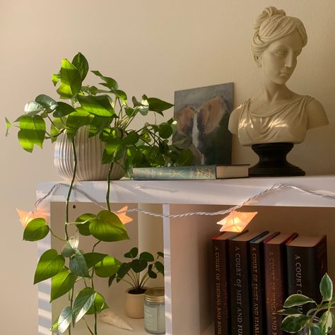 Aesthetic bookshelf • bookshelf decor • bookshelf ideas Book Shelf Aesthetic Minimalist, Small Book Shelf Aesthetic, Mini Book Shelf Aesthetic, Bookshelf With Plants Aesthetic, Bookshelf Plants, Bookshelf Plants Aesthetic, Short Bookshelf, Bookshelf Old Aesthetic, Minimalist Bookshelves