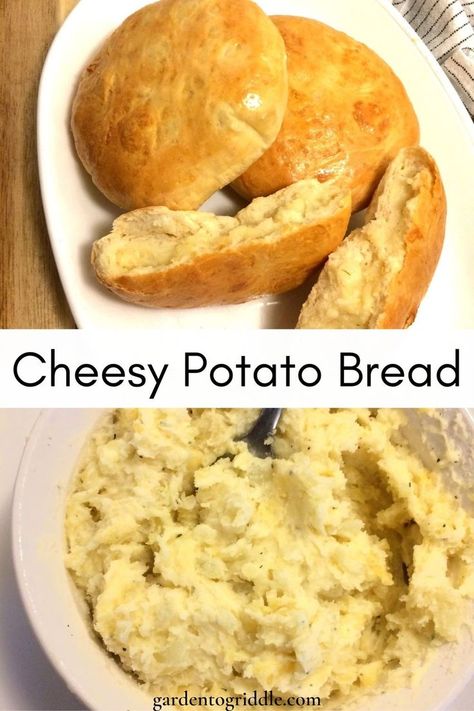 Image split in half with top image of 2 full loaves and 1 split open on white oval plate and bottom image of cheesy mashed potato filling in white bowl with silver spoon in bowl. Title in black letters with white background between 2 images. Cheesy Potato Bread, Cheesy Potato Pillows, Yummy Bread, Work Food, Honey Milk, Potato Cheese, Baking Buns, Herb Bread, Cheesy Potato