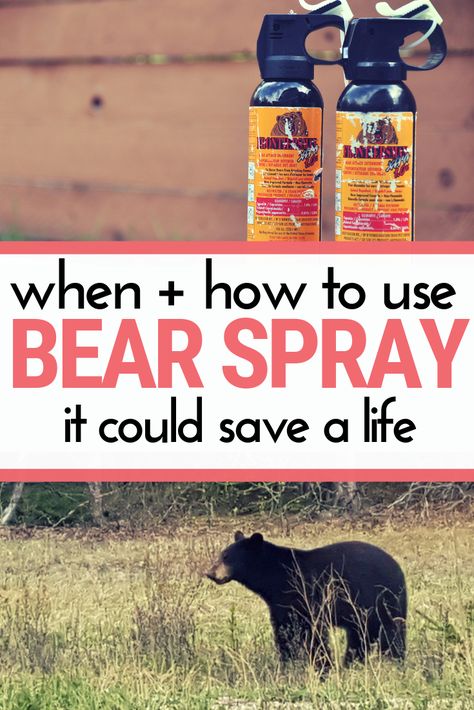 Bear Repellent, Vegan Homestead, Backpacking List, Hiking Safety, Bear Safety, Outdoor Skills, Hiking Wear, Solo Traveling, First Time Camping