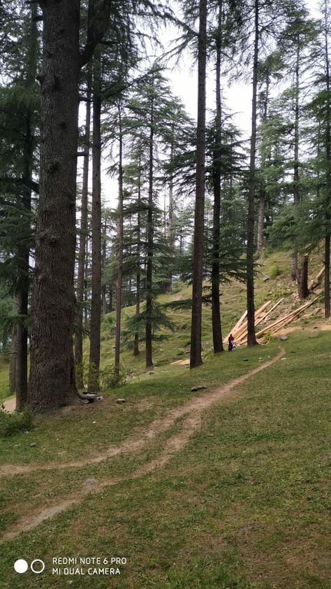 Kullu manali;Himachal pradesh Manali Background, Chail Himachal Pradesh, Kullu Manali Photography, Manali Pics, Manali Aesthetic, Cam Aesthetic, Manali Himachal Pradesh, Soothing Nature, Street Pics