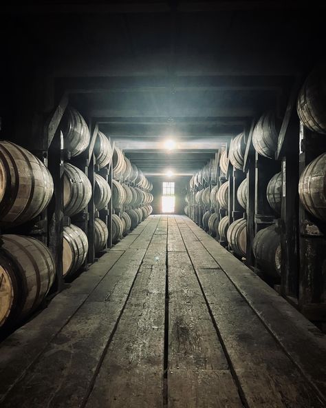 Buffalo trace distillery today. #bourbonwhiskey #bourbon #kentuckyhistory #frankfort Buffalo Trace, Bourbon Whiskey, S Pic, Bourbon, Kentucky, Buffalo, Soldier, Horses, History