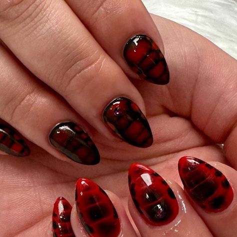 Margo on Instagram: "See ya later, alligator ❤️ #gelnails #hardgel #biabnails #summernails #trendingnails #grandjunctionnails #grandjunctionnailsalon" Red Alligator Nails, Black And Red Croc Nails, Alligator Nails Designs, Red Crocodile Nails, Red Croc Nails, Alligator Nails, Crocodile Nails, Croc Nails, See Ya Later Alligator