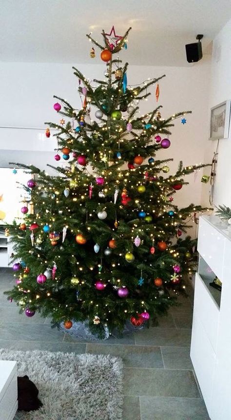 Colourful Christmas Tree Lights, Multicolour Christmas Tree, Colourful Christmas Tree Ideas, Colourful Xmas Tree, Coloured Christmas Tree Lights, Christmas Tree Coloured Lights, Multicoloured Christmas Tree, Multicolor Christmas Lights On House, Multicolor Christmas Tree Decorations