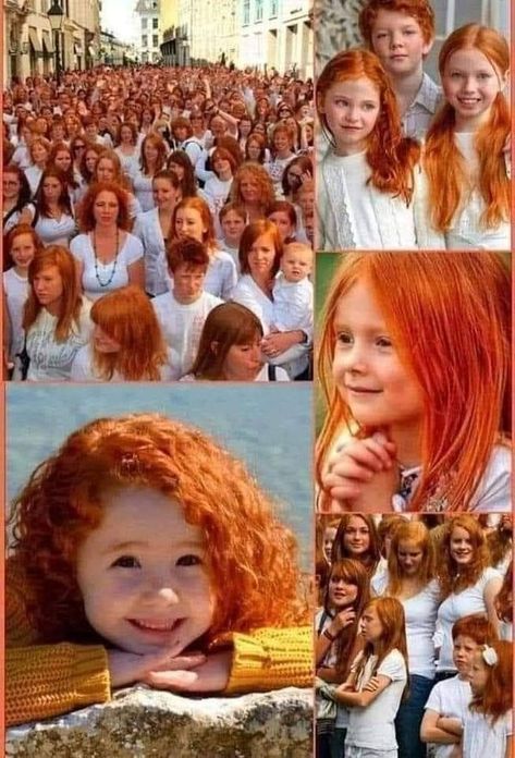 Weird And Amazing Everything | The Ginger Festival in Ireland, specifically the Irish Redhead Convention held in Crosshaven, Cork, is a vibrant event celebrating red hair and Irish ... Irish Redhead, Redhead Day, People With Red Hair, Irish Women, African History, Ginger Hair, Gustav Klimt, In The Flesh, Shades Of Red