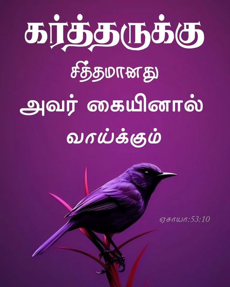 ⭐ TamilBible | ஏசாயா :53:10 ⭐ ✝️ கர்த்தருக்கு சித்தமானது அவர் கையினால் வாய்க்கும் . ✝️ 💚 Follow 👇 https://whatsapp.com/channel/0029Va4izKQCMY0JLgsQtl1h 💫 Tamil Bible | Bible Verse | Jegan | BibleKart | தமிழ் வேதாகமம் | Tamil Verse | Jegan AI | Today Bible Verse 🙏 #tamil #bible #tamilbible #jegan #biblequotes #bibleverses #Biblekart #trending #Jesus #bibleverse #jesuslovesyou #gospel #god #tamilbibleverse Today Bible Verse In Tamil, Tamil Bible Verses Images, Bible Verses In Tamil, Bible Verse Tamil, Today Bible Verse, Tamil Bible Words, Bible Verse For Today, Bible Words Images, Tamil Bible