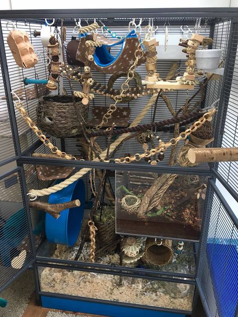 @furrykindcreations Critter Nation Cage Ideas Pet Rats, Critter Nation Rat Cage Ideas, Cute Rat Cage, Critter Nation Rat Cage, Rat Cage Setup, Rat Cage Ideas, Rat Cage Diy, Pet Rat Cages, Critter Nation Cage