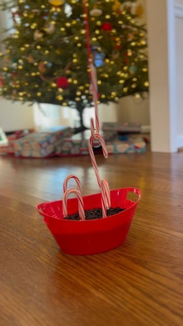 Candy Cane Fishing Game, Christmas Church Games, Candy Cane Fishing, Diy Family Games, Christmas Minute To Win It, Candy Cane Game, 12 Days Of Christmas Ideas, Days Of Christmas Ideas, Christmas Eve Games