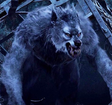 Van Helsing werewolf....best one I believe. Werewolf Reference, Van Helsing Werewolf, Wolf In The Woods, Vampire Monster, Night Wolf, Werewolf Aesthetic, Van Helsing, Creepy Stuff, Werewolf Art