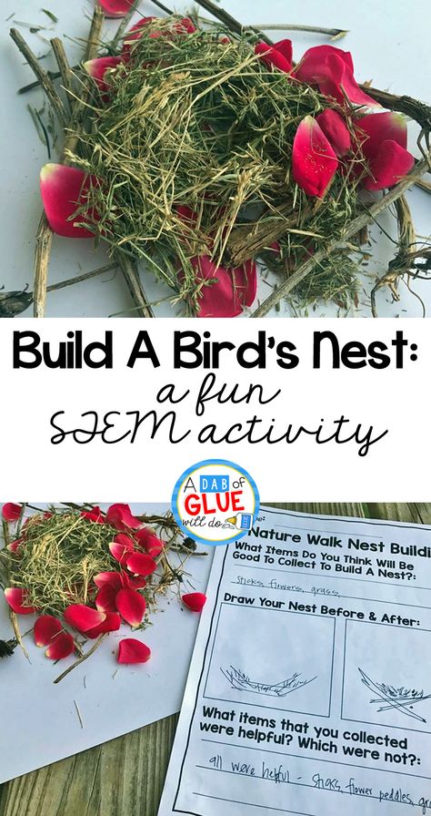 Bird Nest Preschool, Bird Nest Craft Preschool, Nest Craft Preschool, Nest Craft, Oviparous Animals, Bird Nest Craft, Fun Stem Activities, Science Concepts, Preschool Stem