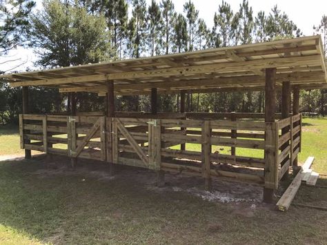 Front view 2 breezy outdoor 12' horse stalls. Allbritton's Outdoor Solutions, Inc in Geneva, FL Outdoor Stalls For Horses, Outdoor Horse Stalls, Horse Corral Ideas, Horse Stall Ideas Cheap, Stalls Ideas, Small Horse Barns, Horse Shed, Livestock Shelter, Goat Shelter