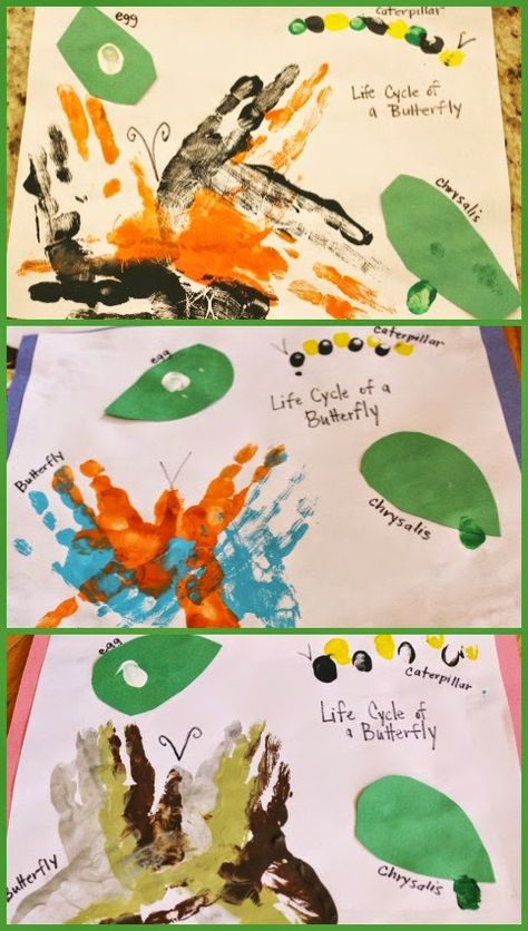 Handprint Life Cycle of a Butterfly Butterfly Life Cycle Kindergarten, Butterfly Life Cycle Art, Butterfly Life Cycle Preschool, Life Cycle Preschool, Insects Crafts, Preschool Butterfly, Life Cycles Kindergarten, Butterfly Lifecycle, Life Cycles Preschool