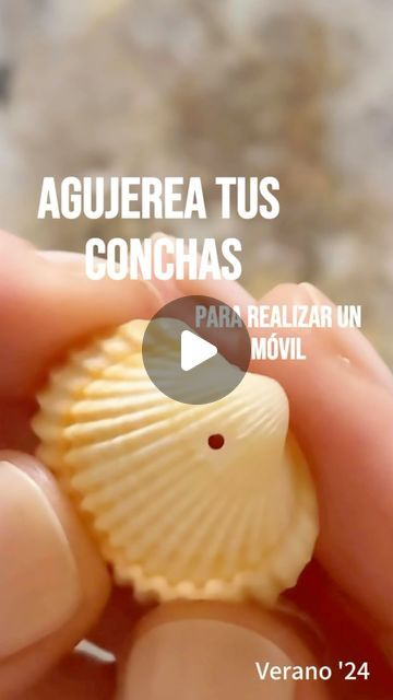 Leticia Jiménez on Instagram: "Agujerea tus conchas de forma fácil y rápida! 🐚 🌊   #manualidadesfaciles #mar #verano2024 #tiempodecalidad #niños #actividadesniños" Shell Earing Ideas, Seashell Projects Craft Ideas, What To Do With Shells, Sea Shells Crafts, Scallop Shell Craft, Playa Ideas, Shells Crafts, Sea Shells Diy, Art Coquillage