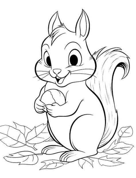 Squirrel Coloring Page, Fall Coloring Sheets, Toddler Drawing, Cute Squirrel, Cat Coloring Page, Animal Coloring Books, Easy Coloring Pages, Animal Coloring, Flower Coloring Pages