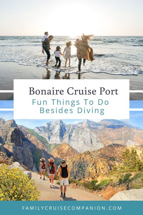 Bonaire is a stunning island that offers plenty of activities for visitors, including these fun activities besides diving. Bonaire Island, Tips On Saving Money, Best Cruise Ships, Cruise Planning, Cruise Excursions, Dream Cruise, Norwegian Cruise, Royal Caribbean Cruise, Best Cruise