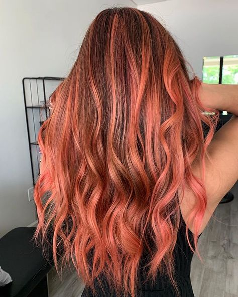 👽Emma Jean🖤 (@emmajeanhairpainter) • Instagram photos and videos Peach Hair Color, Peach Hair Colors, Viral Makeup, Latest Hair Color, Hey Honey, Peach Hair, Hair Color Shades, Hair Inspiration Color, Hair Inspo Color