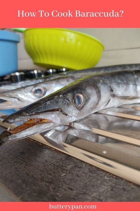 Barracuda Fish, Fun Lunch, Looks Yummy, The Fam, Less Is More, Fish And Seafood, How To Cook, Fish Recipes, Have You Ever