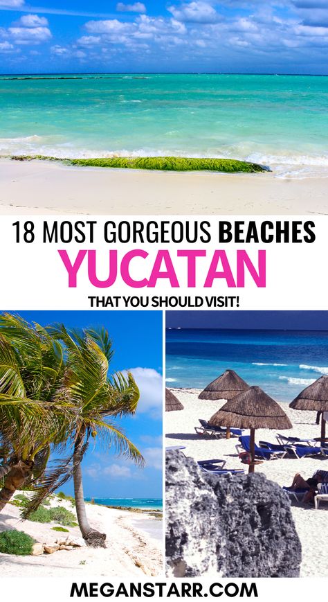 Planning a trip to Mexico? Check out my list of the best beaches in the Yucatán! Uncover the most stunning beach spots, perfect for relaxation and adventure. Discover why the Yucatán Peninsula is a beach lover's paradise. Mexico Itinerary, Beaches To Visit, Trip To Mexico, Yucatan Mexico, Yucatan Peninsula, Best Beaches, Planning A Trip, Beach Lovers, Mexico Travel