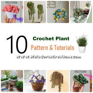 Crochet Plant Pattern Free, Crochet Plant Patterns, Crochet Plant Pattern, Crochet Garden, Pillow Covers Pattern, Diy Crochet Patterns, Crochet Pillow Cover, Plants For Hanging Baskets, Crochet Plant