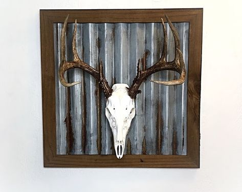 Deer Skull Decor Living Room, Deer Head Decor Living Room Farmhouse, European Deer Mount Ideas, Skull Mount Ideas, European Skull Mount, Deer Skull Decor, Deer Mount Ideas, Deer Hunting Decor, Deer Head Decor