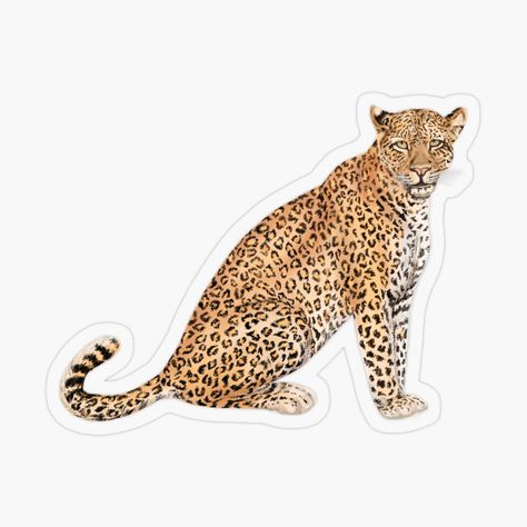 Cheetah Sticker, Nature Inspired Nursery, Cute Laptop Stickers, Decorative Stickers, Red Aesthetic, Aesthetic Stickers, Funky Art, Case Stickers, Transparent Stickers