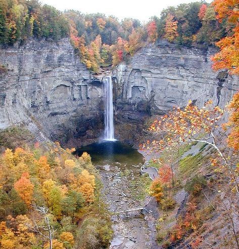 Put These On Your List: 5 Must-Take Day Trips from Buffalo, NY  | Trip101 Taughannock Falls, New York State Parks, Watkins Glen State Park, List Of Cities, Ithaca Ny, Upstate New York, New York State, Wide Angle, New Yorker