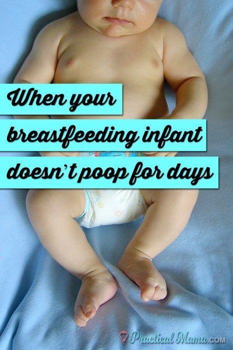 How long is too long for a baby go without pooping? When a breastfeeding baby doesn't poop for long periods of time as long as a week, parents get worried. Our experience with our daughter's infrequent stools from 2 weeks to 4 months old. 6 Weeks Old Baby, Baby Poop Guide, Breastfed Baby Poop, Constipated Baby, To All The Mothers, 2 Month Old Baby, 2 Month Baby, 1 Month Baby, 4 Month Old Baby