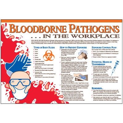 Bloodborne Pathogens in the Workplace Bloodborne Pathogens, Science Infographics, Nurse Stuff, Workplace Safety, Bloodborne, Work Place, Poster Ideas, Break Room, Health Science