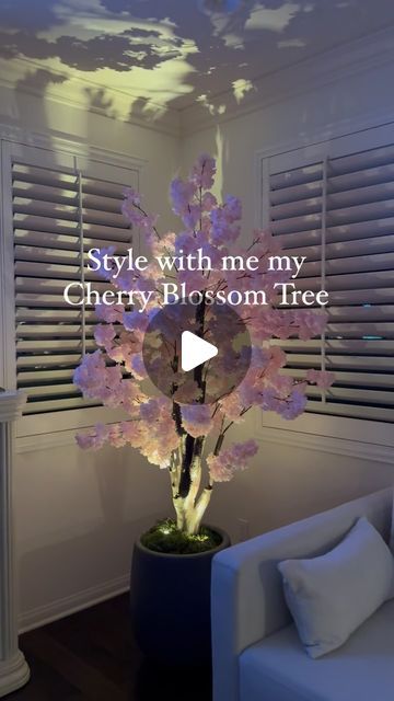 Karina Maxey on Instagram: "Comment “light” for the links 
.
Wow! The light just adds the wow factor 🤩 at night to this beautiful cherry blossom.🌸 
.
.
.
.
.
.
.
#ambiancelight #springdecorating #spring2024 #cherryblossom #cherryblossomtree #indoorlighting #decorinspo #howtodecorate" Cherry Blossom Decor, Ambiance Lighting, Blossom Tree, April 3, White Room, Cherry Blossom Tree, Cherry Tree, Wow Factor, Tree Decor