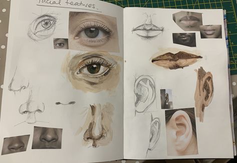 Facial Features Sketchbook Page, Gcse Art Facial Features Page, Facial Features Art Gcse Page, Facial Features Art Gcse, Facial Features Art, Draw Facial Features, Ks3 Art, Sketching Painting, Painting Sketchbook