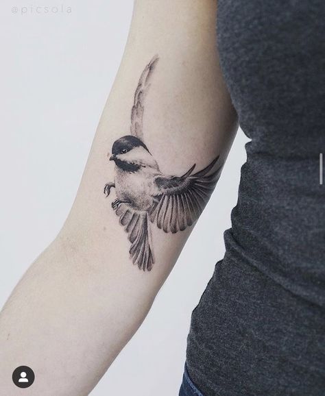 Chickadee Tattoo, Forearm Cover Up Tattoos, Vogel Tattoo, Cool Nature, Sparrow Tattoo, Muster Tattoos, Tasteful Tattoos, Tattoo Care, Sternum Tattoo