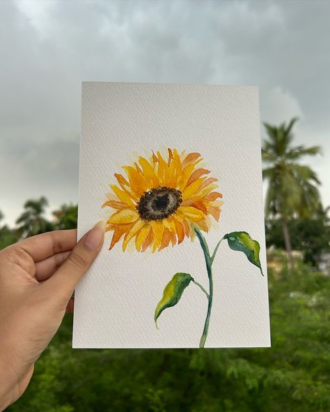 Adding a ray of sunshine to my feed🌻 This is my 3rd attempt at watercolour sunflowers. I followed a tutorial by @letsgomakeart. I do a see a bit of improvement, what do you think? Materials used: 300 GSM watercolour paper from @brustro_official Artist watercolour cakes from @kokuyo.camlin July is the World Watercolour Month. This is the first July since I started painting. I began painting with watercolours last December and it’s been a fun journey since then. I love watercolours because... Watercolour Sunflowers, Watercolour Cakes, Watercolor Cake, A Ray Of Sunshine, Watercolor Books, Ray Of Sunshine, Artist Illustration, Watercolor Sunflower, Drawings Simple