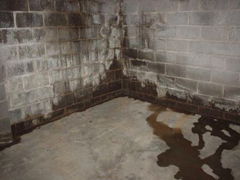 Sealing Basement Walls, Waterproofing Basement Foundation, Waterproofing Basement Walls, Leaky Basement, Basement Repair, Leaking Basement, Wet Basement, Diy Basement, Wall Waterproofing