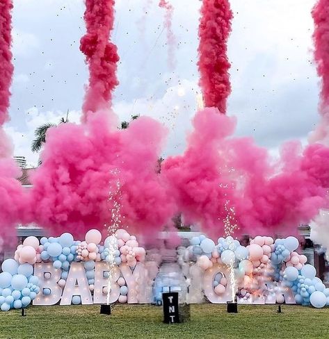 Luxury Gender Reveal Ideas, Luxury Gender Reveal Party, Gender Celebration, Rabbit Gender Reveal, Gender Reveal Ideas For Party Decoration, Gender Reveal Summer, Oh Baby Gender Reveal, Firework Gender Reveal, Sound Photography