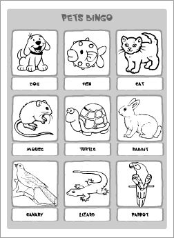 Pets vocabulary for ESL kids | Printable resources Preschool Pet Activities, Bingo Activities, Bingo Printable Free, Vocabulary For Kids, Pet Activities, Teach Vocabulary, Esl Kids, Pets Preschool Theme, Easter Templates Printables