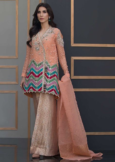 CHEVRON – LAAM Brocade Trousers, Annus Abrar, Heavy Dresses, Organza Shirt, High Fashion Women, Formal Wear Dresses, Pale Peach, Pakistani Bridal Wear, Organza Dupatta