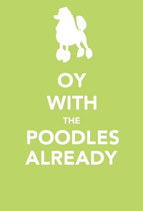 Oy with the poodles already! Gilmore Girls. <3 Oy With The Poodles Already Quote, Oy With The Poodles Already Wallpaper, Oy With The Poodles Already, Oy With The Poodles, Luke's Diner, Babette Ate Oatmeal, Paul Anka, Gilmore Girls Quotes, Gilmore Girl