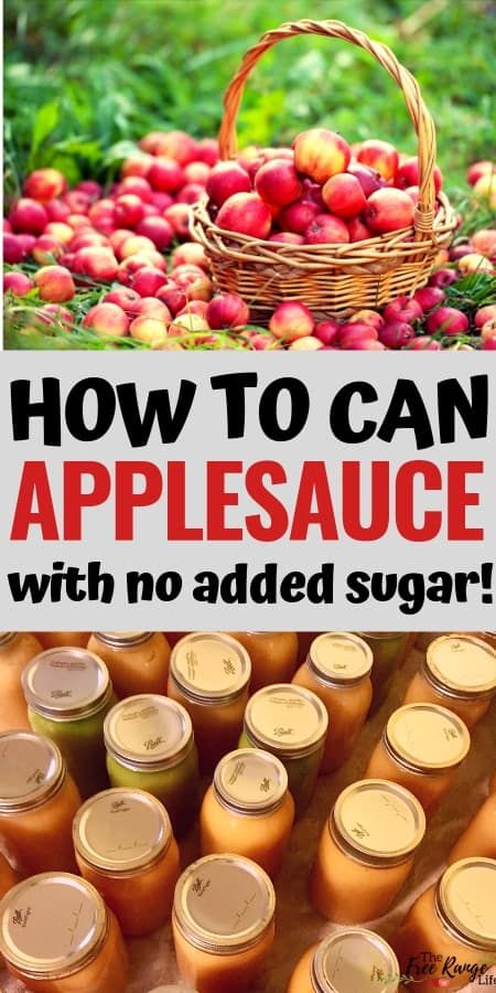 How To Can Applesauce, Can Applesauce, Canning Applesauce, Canned Applesauce, Pressure Canning Recipes, Canning 101, Canning Fruit, Home Canning Recipes, Canning Vegetables