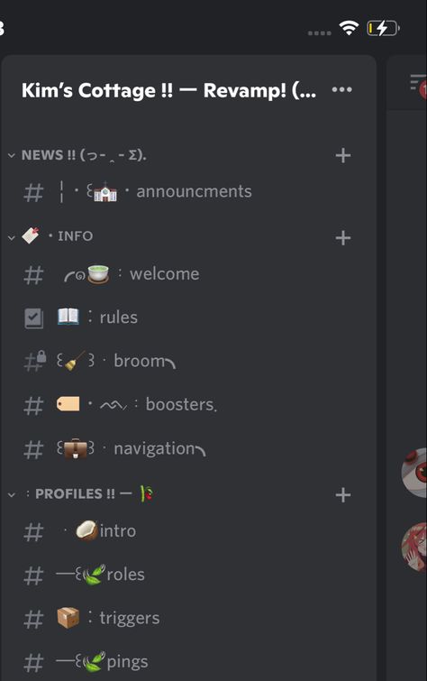 Server Name Ideas Discord, Discord Server Roles Ideas, Disc Ideas, Server Ideas, Discord Layout, Discord Ideas, Cottagecore Indie, Discord Channels, Cottagecore Aesthetic