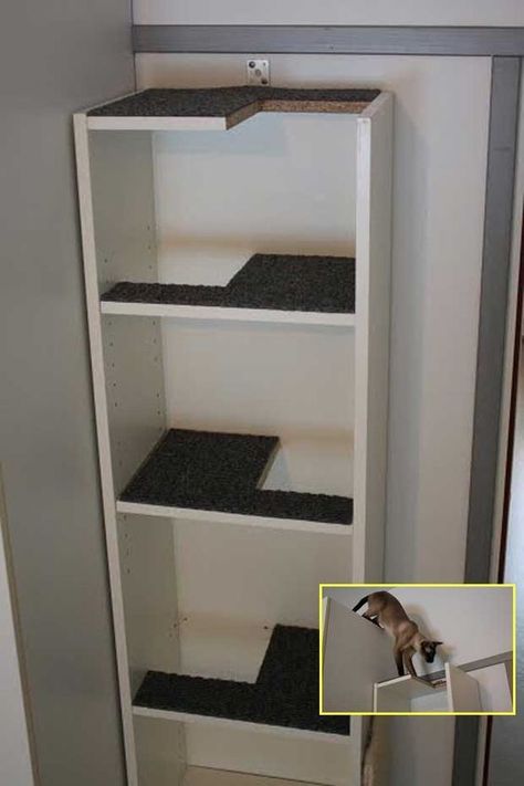 Katt Hus, Katt Diy, Cat Climbing Shelves, Billy Ikea, Katt Grejer, Chat Diy, Kat Diy, Cat Climber, Diy Cat Tree