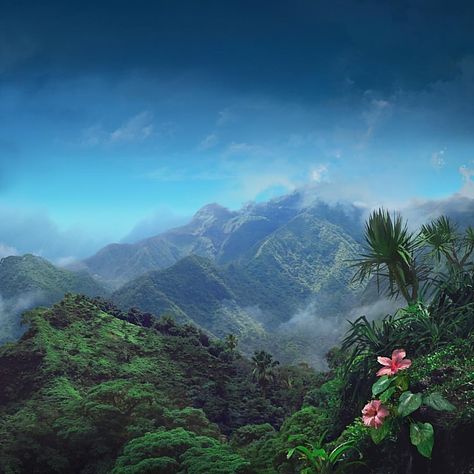 The mountains of Fiji 🇫🇯 Melanesia, Pacific Islands Nature Aesthetic, Pretty Places, Island Life, Travel Aesthetic, Mother Earth, Pretty Pictures, Beautiful World, Beautiful Landscapes, Mother Nature