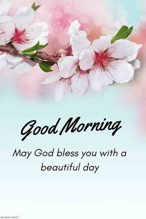 God is good today and everyday, how you experience His goodness all depends on your attitude throughout your day. 🌸🕊 God Bless Your Day, God Bless You Quotes, Beautiful Day Quotes, Good Morning Blessings, Bless You, Morning Sister, Morning Pic, Inspirational Good Morning Messages, Good Morning Greeting Cards