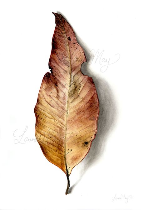 Leaves Drawing, Leaf Watercolor, Watercolour Inspiration, Leaf Drawing, 수채화 그림, Botanical Painting, Botanical Watercolor, Drawing Pencil, Watercolor Leaves