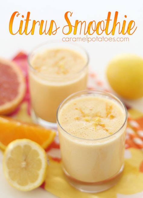 Orange Cream Smoothie, Citrus Smoothie Recipes, Edible Recipes, Citrus Smoothie, Ninja Blender, Protein Smoothie Recipes, Healthy Yogurt, Smoothie Healthy, Making Homemade Pizza